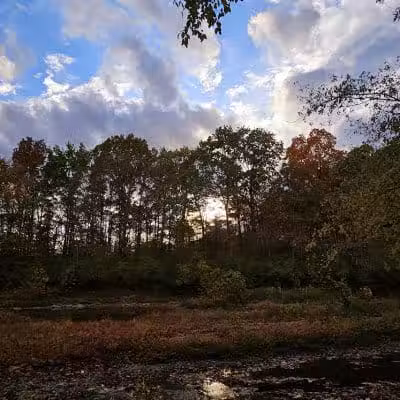 Williamsburg Community Park - Williamsburg, OH