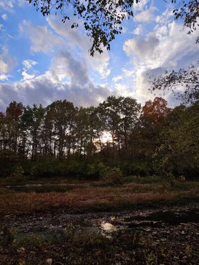 Williamsburg Community Park - Williamsburg, OH