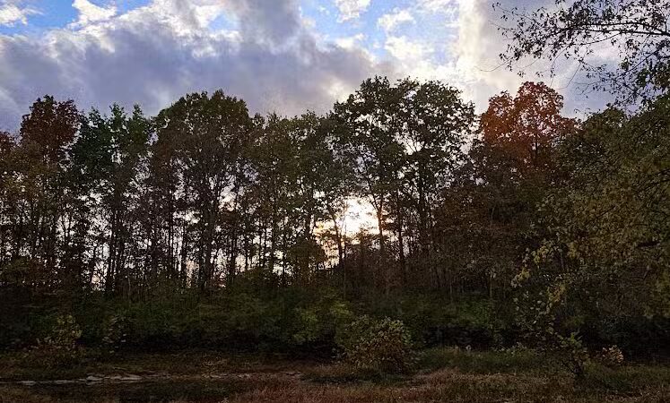 Williamsburg Community Park - Williamsburg, OH