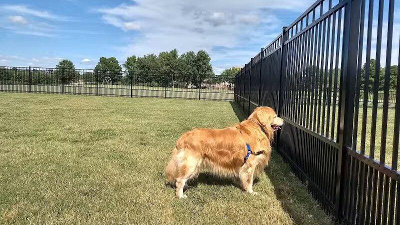 Kidsburg Dog Park - Williamsburg, VA