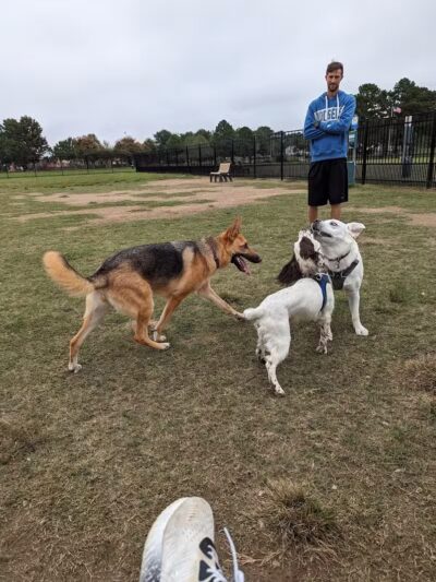 Kidsburg Dog Park - Williamsburg, VA