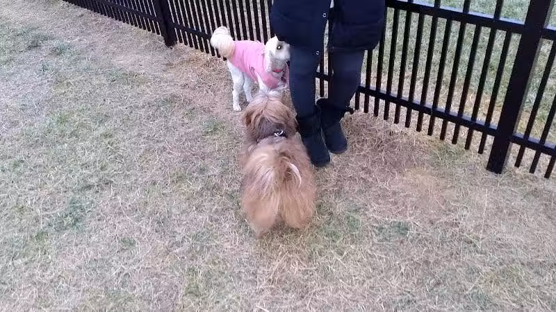 Kidsburg Dog Park - Williamsburg, VA