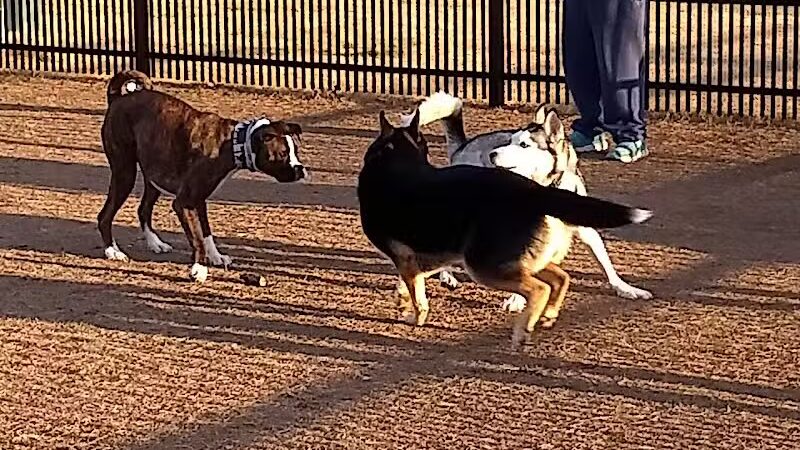 Kidsburg Dog Park - Williamsburg, VA