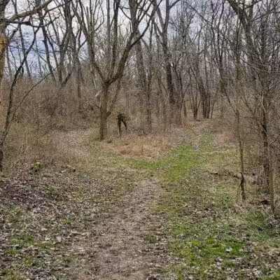 Metzger Preserve - Williamsport, OH
