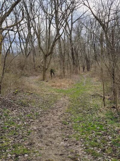 Metzger Preserve - Williamsport, OH