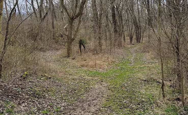 Metzger Preserve - Williamsport, OH