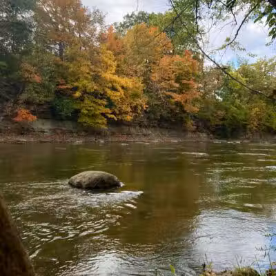 Metzger Preserve - Williamsport, OH