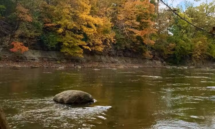 Metzger Preserve - Williamsport, OH