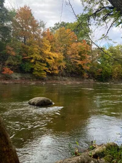 Metzger Preserve - Williamsport, OH
