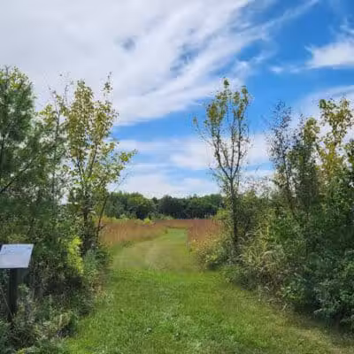 Metzger Preserve - Williamsport, OH