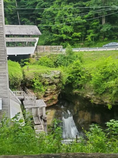 Metzger Preserve - Williamsport, OH