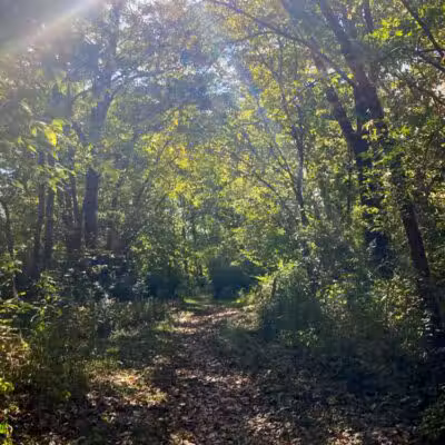 Metzger Preserve - Williamsport, OH