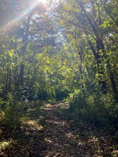 Metzger Preserve - Williamsport, OH