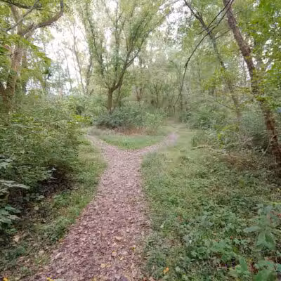 Metzger Preserve - Williamsport, OH