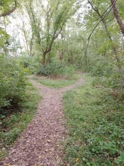 Metzger Preserve - Williamsport, OH
