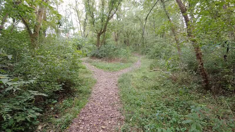 Metzger Preserve - Williamsport, OH