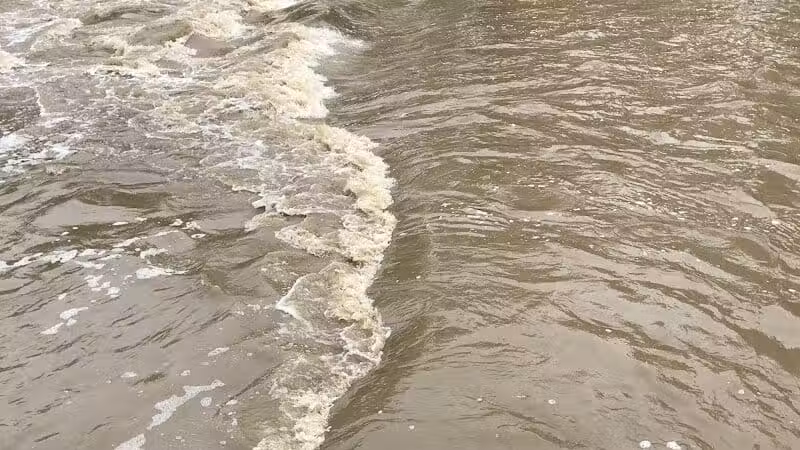 Daniels Park - Willoughby, OH
