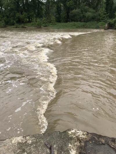 Daniels Park - Willoughby, OH