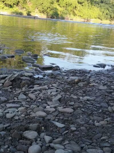 Daniels Park - Willoughby, OH