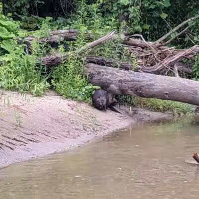 Daniels Park - Willoughby, OH