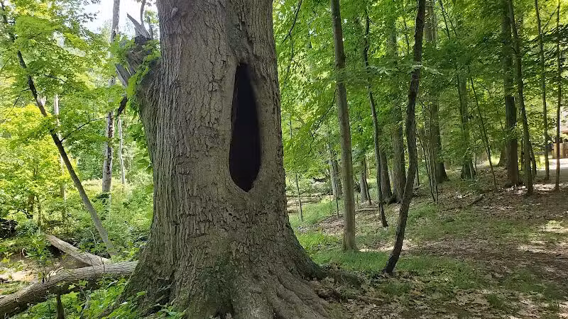 Gully Brook Park - Willoughby, OH