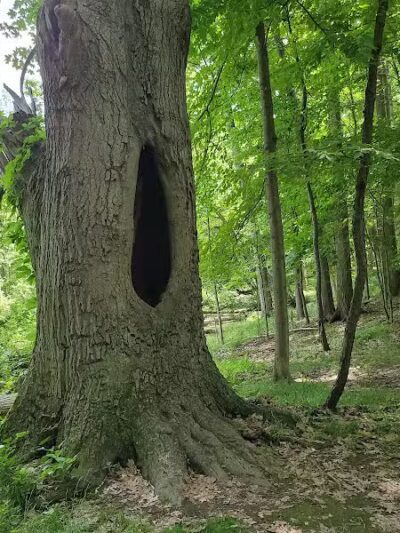 Gully Brook Park - Willoughby, OH