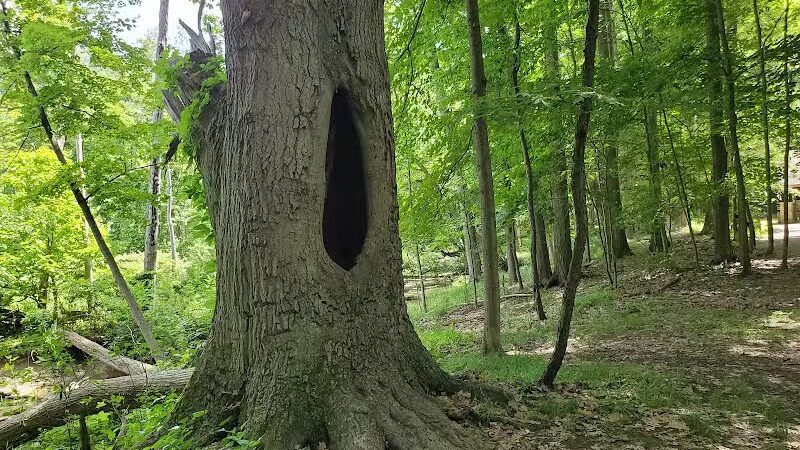 Gully Brook Park - Willoughby, OH