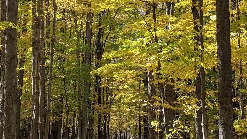 Gully Brook Park - Willoughby, OH