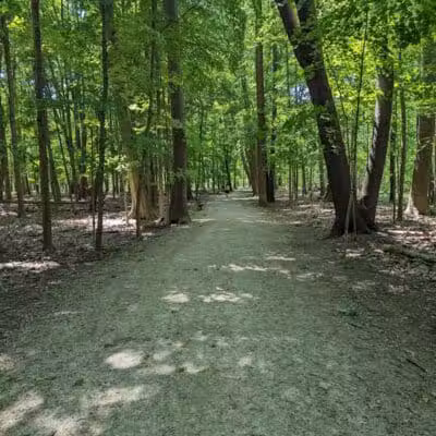 Gully Brook Park - Willoughby, OH