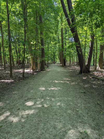 Gully Brook Park - Willoughby, OH