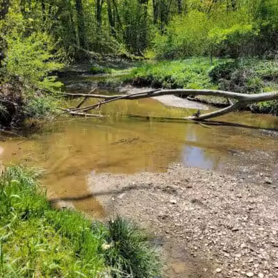 Gully Brook Park - Willoughby, OH