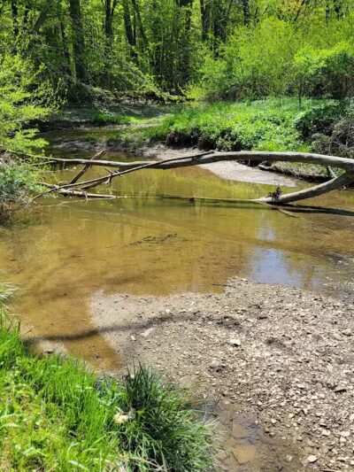 Gully Brook Park - Willoughby, OH