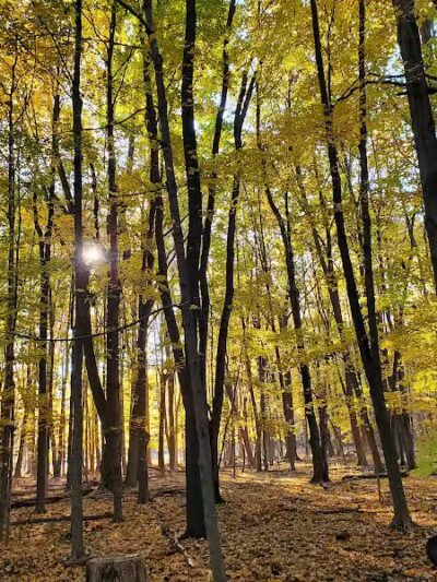 Gully Brook Park - Willoughby, OH