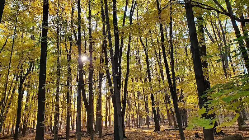 Gully Brook Park - Willoughby, OH