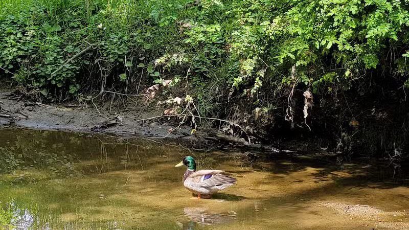 Gully Brook Park - Willoughby, OH