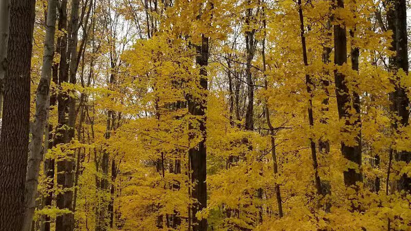 Gully Brook Park - Willoughby, OH