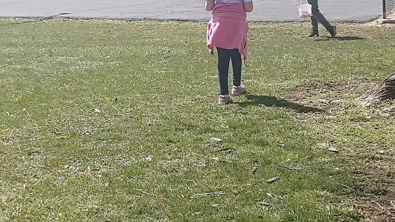 Village Park - Willshire, OH