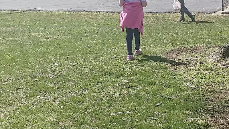 Village Park - Willshire, OH