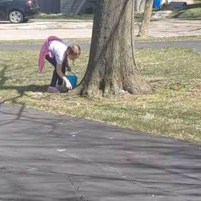 Village Park - Willshire, OH