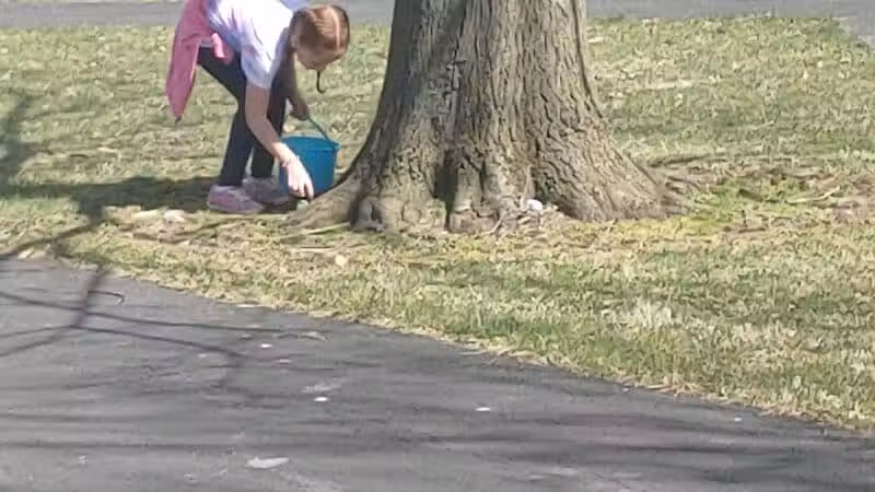 Village Park - Willshire, OH