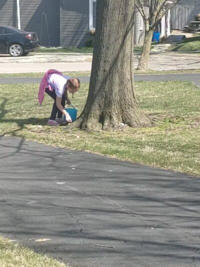 Village Park - Willshire, OH