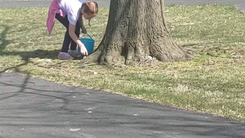 Village Park - Willshire, OH