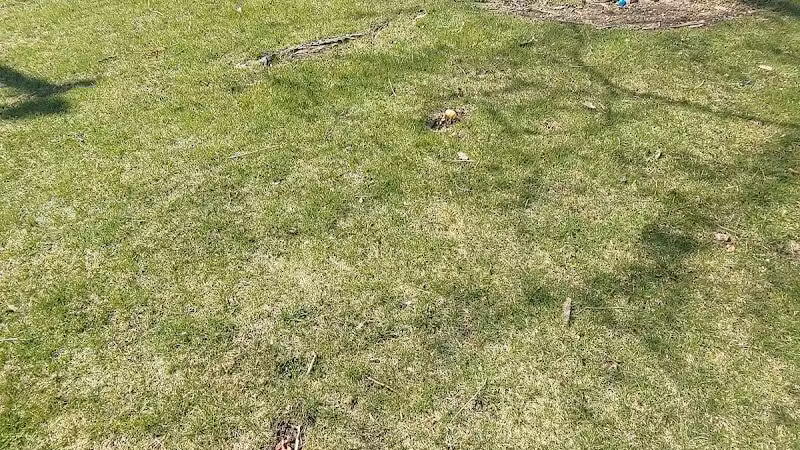 Village Park - Willshire, OH