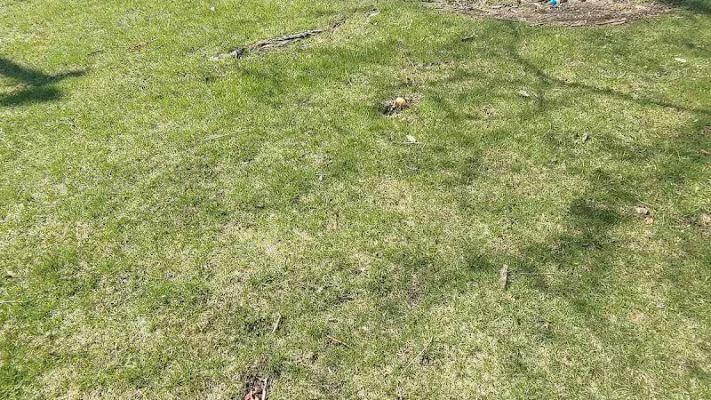 Village Park - Willshire, OH