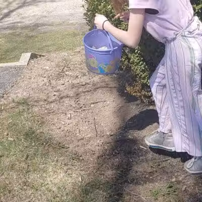 Village Park - Willshire, OH