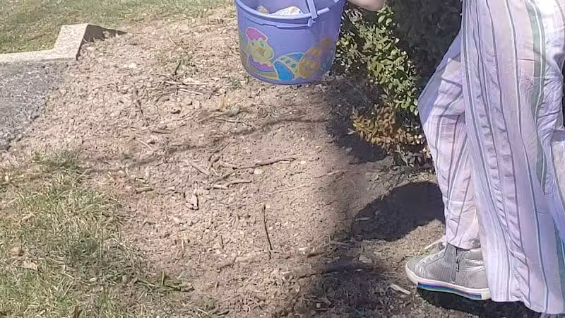 Village Park - Willshire, OH