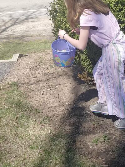 Village Park - Willshire, OH