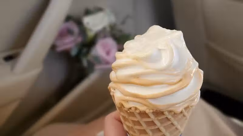 Willshire Drive-In - Willshire, OH