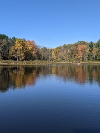 The Wilderness Center - Wilmot, OH