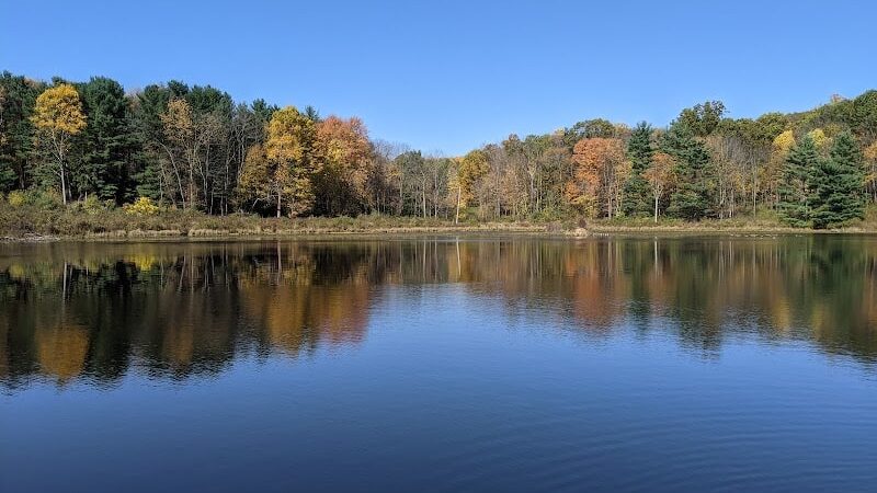The Wilderness Center - Wilmot, OH
